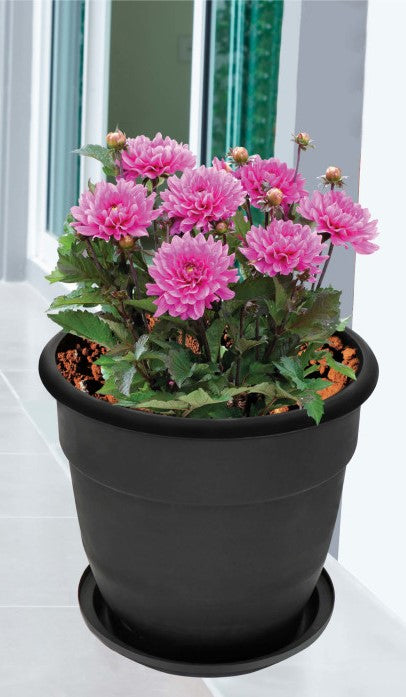 Planter No. 6 With Dish