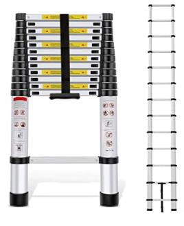 Telescopic Ladder